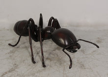 Load image into Gallery viewer, ANT -4FT - JR 120046
