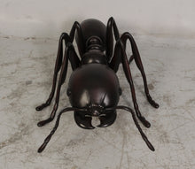 Load image into Gallery viewer, ANT -4FT - JR 120046
