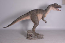 Load image into Gallery viewer, ALLOSAURUS LOOKING STRAIGHT JR 100053
