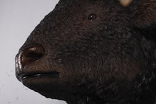 Load image into Gallery viewer, BISON HEAD JR 180039
