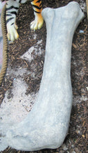 Load image into Gallery viewer, APATOSAURUS FEMUR FOSSIL - JR 140057
