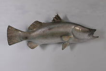 Load image into Gallery viewer, BARRAMUNDI FISH JR 100102
