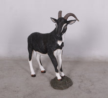 Load image into Gallery viewer, BILLY GOAT JR 130013
