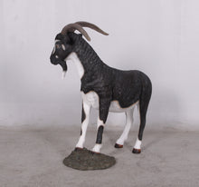Load image into Gallery viewer, BILLY GOAT JR 130013

