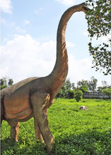 Load image into Gallery viewer, BRACHIOSAURUS STRAIGHT NECK 15FT  - JR 100055

