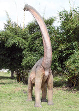 Load image into Gallery viewer, BRACHIOSAURUS TWISTED NECK - JR 100061
