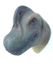 Brachiosaurus Head (JR 2304)
