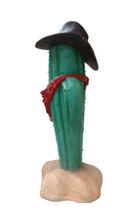 Load image into Gallery viewer, CACTUS WITH HANDKERCHEIF JR C-183
