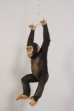 Load image into Gallery viewer, HANGING CHIMPANZEE JR 120040
