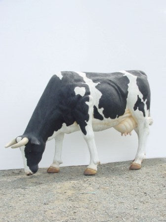 COW HEAD DOWN - JR 1635