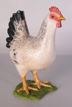 Load image into Gallery viewer, CHICKEN - HEN - JR 100041
