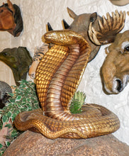 Load image into Gallery viewer, Snake Cobra model (JR 2251C)

