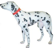 Load image into Gallery viewer, DALMATIAN DOG -JR 2989
