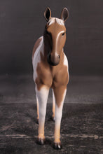 Load image into Gallery viewer, Horse Standing - Brown &amp; White 3ft (JR 100011b)
