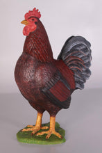 Load image into Gallery viewer, ROOSTER JR 100042
