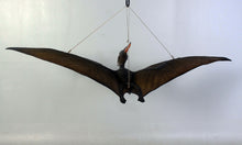 Load image into Gallery viewer, BABY PTERANODON FLYING - JR 110062
