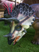 Load image into Gallery viewer, DEFINITIVE TRICERATOPS JR 110025
