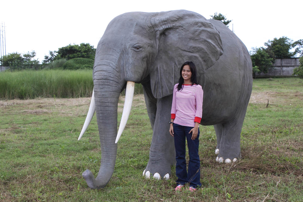 ELEPHANT -AFRICAN - JR 100059