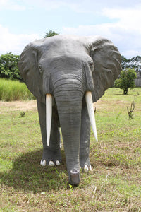ELEPHANT -AFRICAN - JR 100059