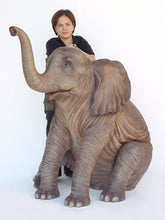 Load image into Gallery viewer, ELEPHANT SITTING - JR 2232

