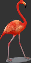 Load image into Gallery viewer, FLAMINGO - JR 110038

