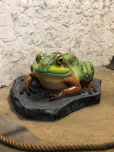 Load image into Gallery viewer, GIANT GREEN &amp; GOLD BELL FROG ON ROCK - JR 120070
