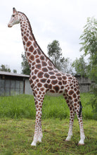 Load image into Gallery viewer, GIRAFFE 12FT JR 090070
