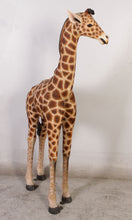 Load image into Gallery viewer, GIRAFFE 6FT JR 120004
