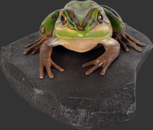 Load image into Gallery viewer, GREEN AND GOLDEN BELL FROG ON ROCK - JR 100002
