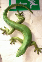 Load image into Gallery viewer, GECKO 60CMS - JR 150044
