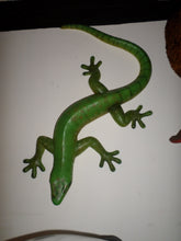 Load image into Gallery viewer, GECKO 80CMS -JR 150045
