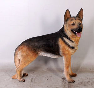 GERMAN SHEPHERD DOG - JR 110104