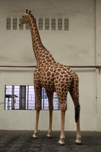Load image into Gallery viewer, GIRAFFE 18FT - JR 140039

