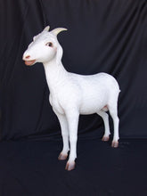 Load image into Gallery viewer, GOAT LIFESIZE - JR 2340
