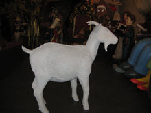 Load image into Gallery viewer, GOAT JR 100044
