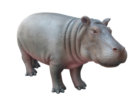 HIPPO - YOUNG - JR R003