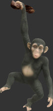 Load image into Gallery viewer, HANGING MONKEY JR 080079

