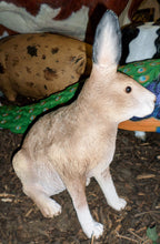 Load image into Gallery viewer, HARE - JR 2595
