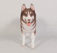 Load image into Gallery viewer, SIBERIAN HUSKY JR 120079

