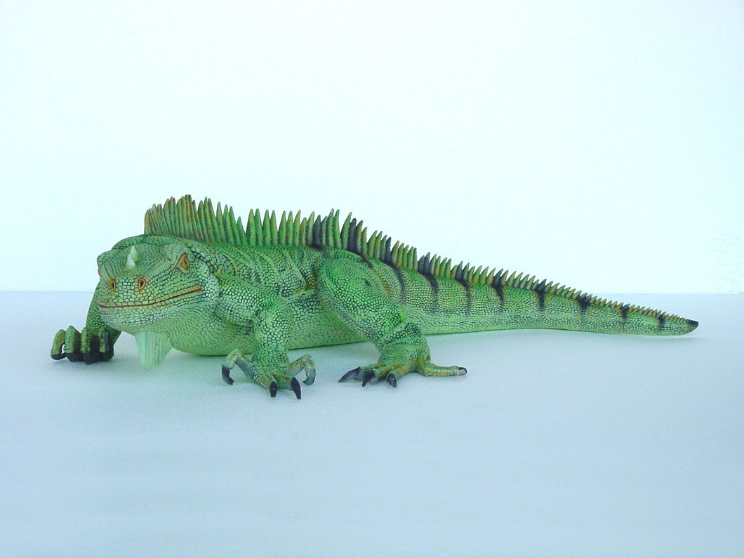 Iguana 3ft long (JR 2160)