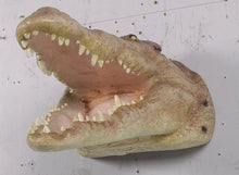 Load image into Gallery viewer, CROCODILE HEAD -MOUTH OPEN - JR 190049
