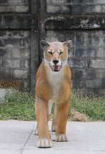 Load image into Gallery viewer, LIONESS WALKING - JR 180220
