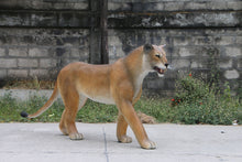 Load image into Gallery viewer, LIONESS WALKING - JR 180220
