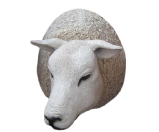 TEXELAAR SHEEP HEAD - JR 0028