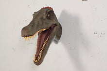 Load image into Gallery viewer, SPINOSAURUS HEAD- JR 0044
