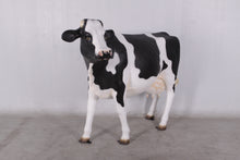 Load image into Gallery viewer, COW HEAD UP WITHOUT HORNS - JR 0050
