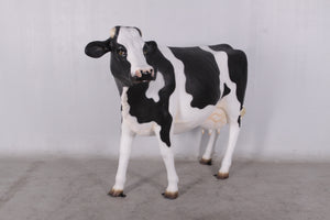 COW HEAD UP WITHOUT HORNS - JR 0050