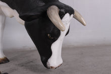 Load image into Gallery viewer, COW HEAD DOWN WITH HORNS - JR 0051
