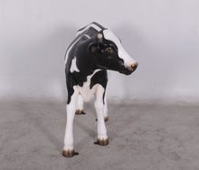 Load image into Gallery viewer, CALF LIFE-SIZE JR 0052
