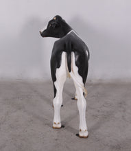Load image into Gallery viewer, CALF LIFE-SIZE JR 0052
